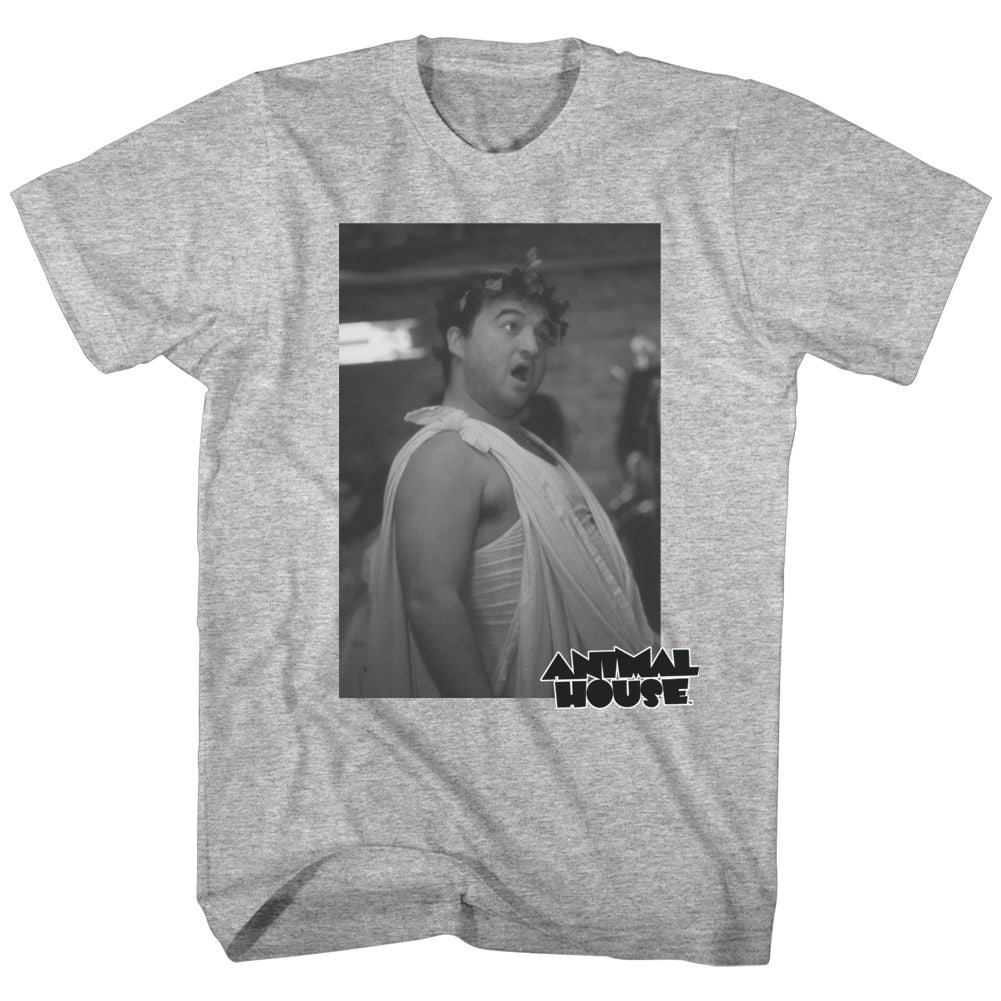 Animal House - Toga Photo 2 - Short Sleeve - Heather - Adult - T-Shirt