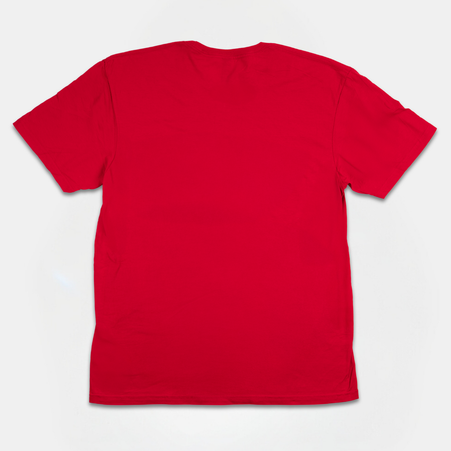 LW 2025 Volunteer T-Shirt