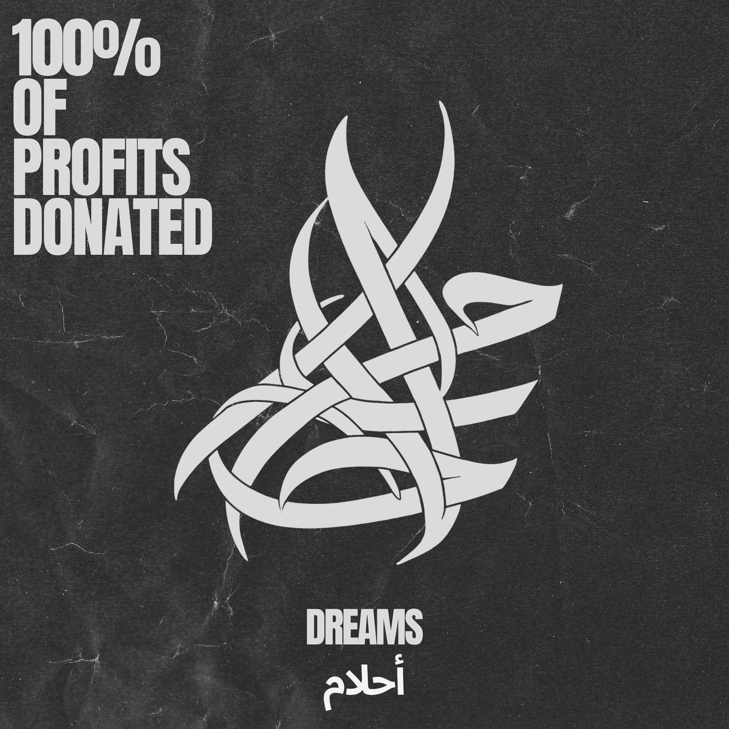 Dreams Of Gaza Vintage Hoodie (WTP X Belal Khaled)