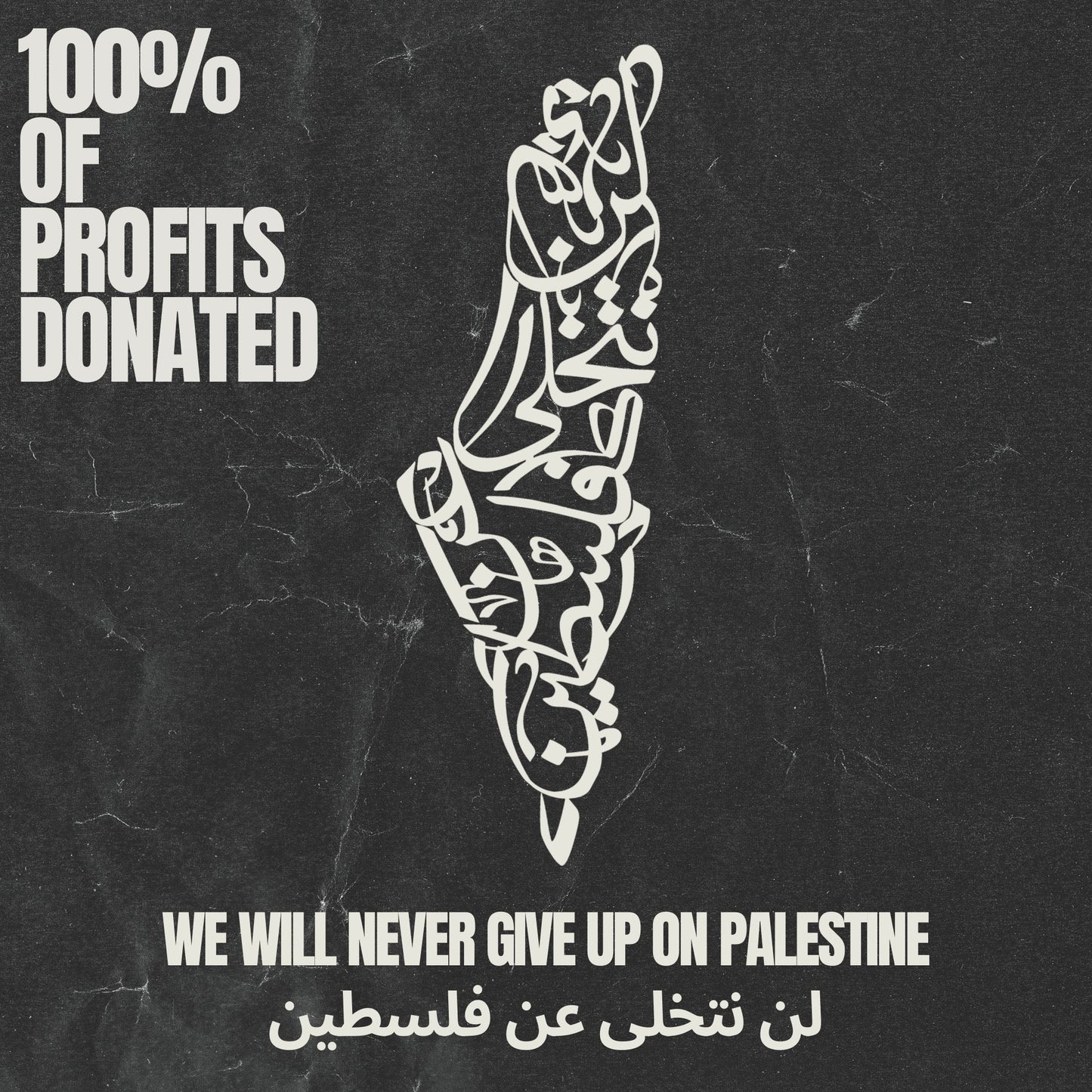 Palestine Forever Vintage Hoodie (MWA X WTP)