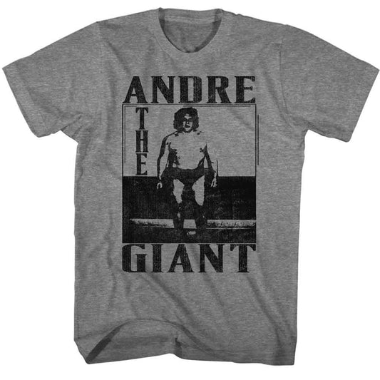 Andre The Giant - Andre The Giant - American Classics - Solid Gray Adult Short Sleeve T-Shirt