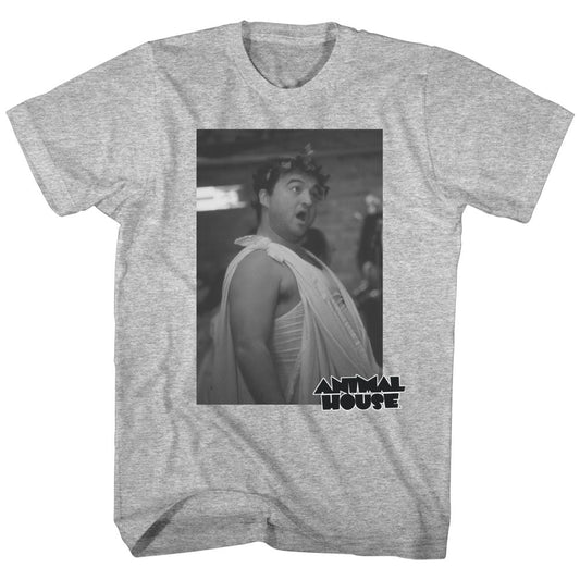 Animal House - Toga Photo 2 - Short Sleeve - Heather - Adult - T-Shirt