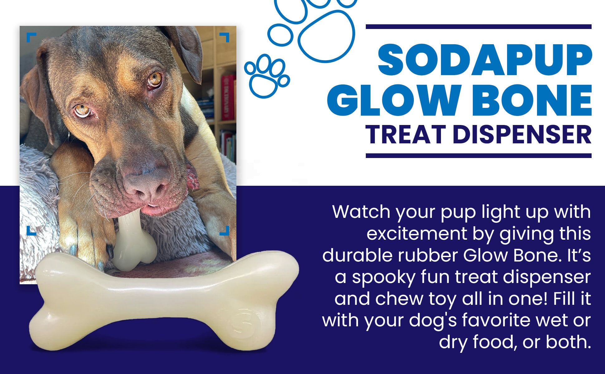 PUP-X Rubber Bone Dog Toy - Durable, Floats, Chew Toy for Large Dogs | USA