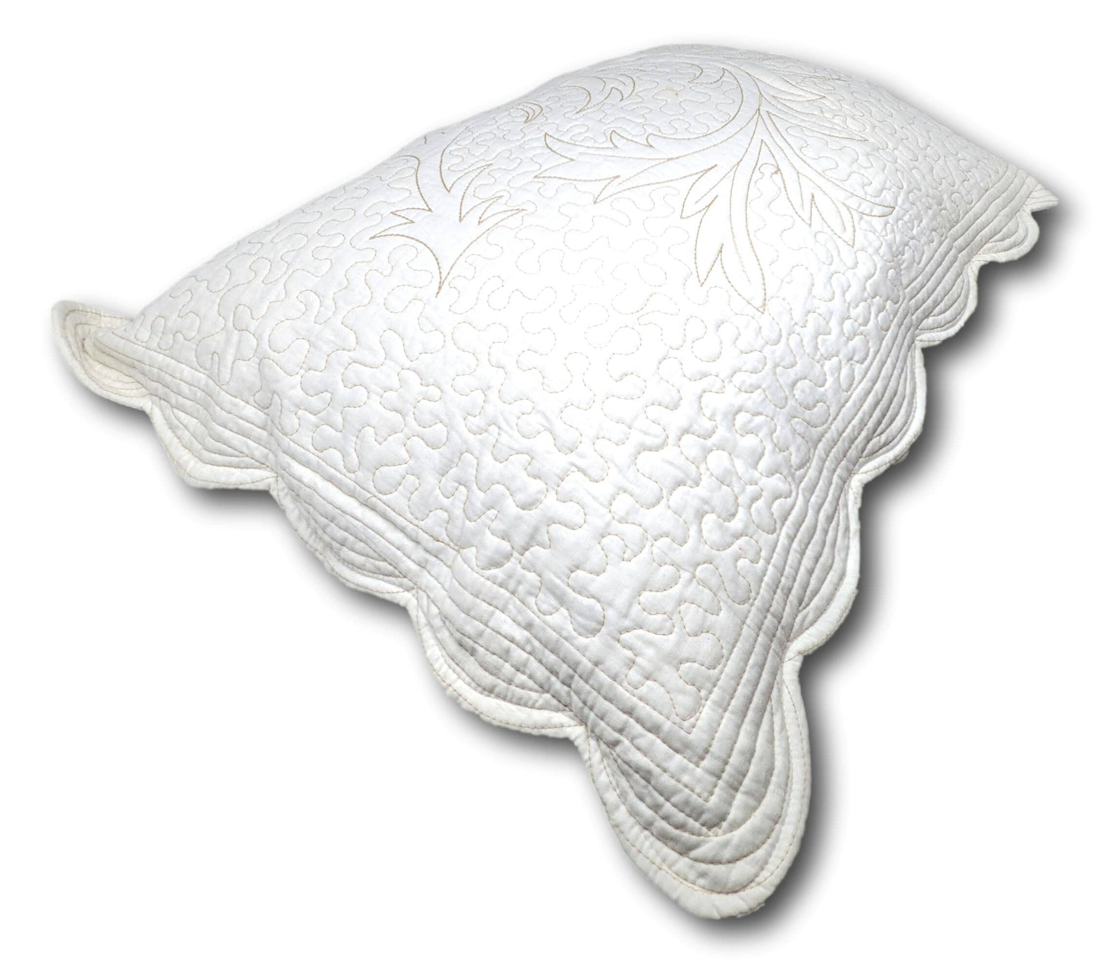 DaDa Bedding Elegant Cottage Ivory White Floral Matelassé Cotton Pillow Sham - Queen Size 20" x 30" (DXJ101796)