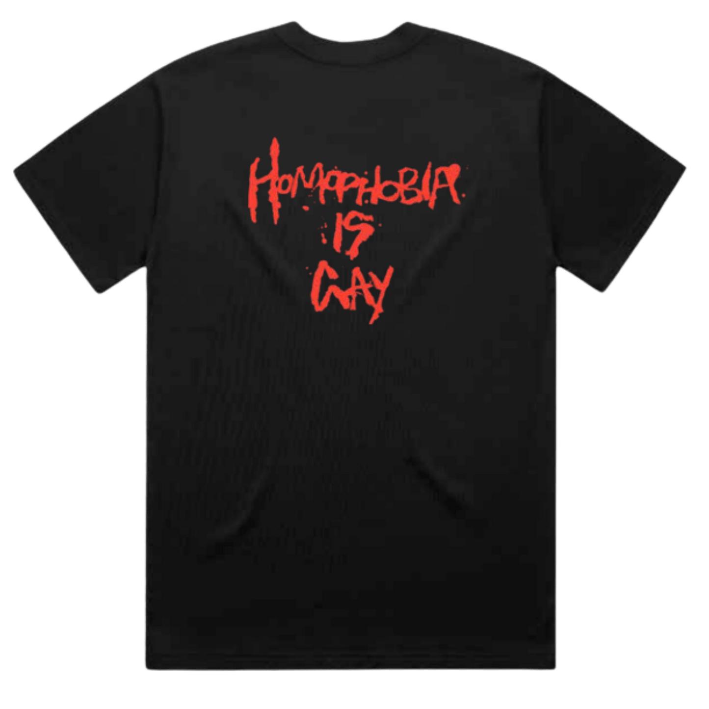 MAY-A / Homophobia Is Gay Tee