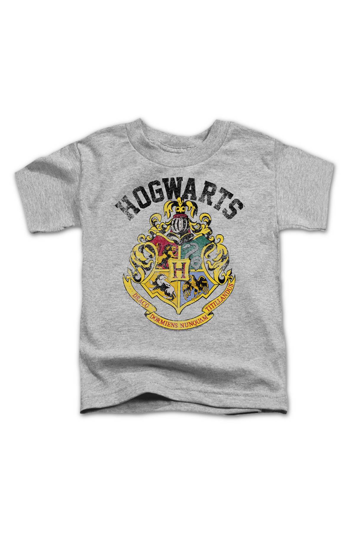 Youth Vintage Hogwarts Crest Harry Potter Shirt