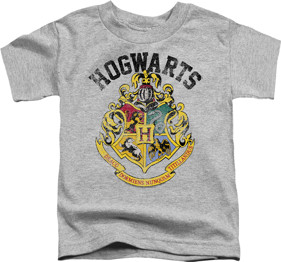 Youth Vintage Hogwarts Crest Harry Potter Shirt